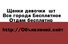 Щенки девочки 4шт - Все города Бесплатное » Отдам бесплатно   